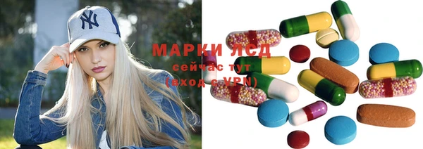 гидропоника Новозыбков