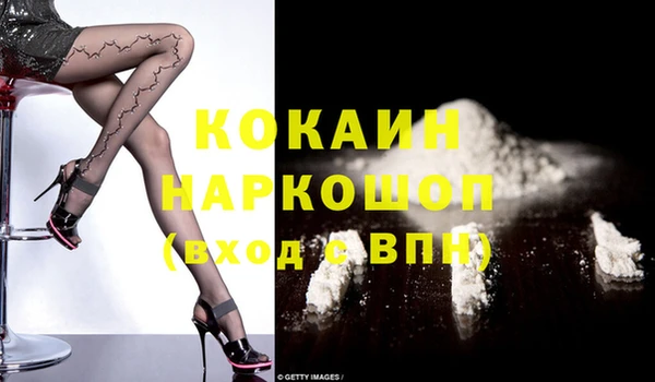 гидропоника Новозыбков