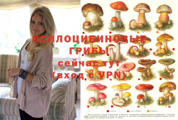 гидропоника Новозыбков