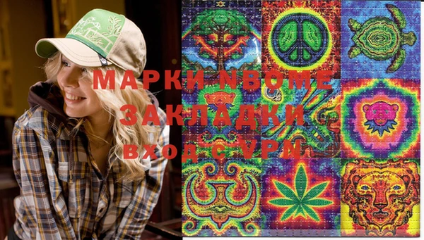 СК Новокубанск